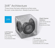 Definitive Technology Descend Series DN15 15” 1500W Powered Subwoofer - ProHiFi India