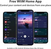 WiiM Pro Music Streamer with a built-in DAC and AirPlay 2 Receiver, Spotify, Alexa and more - ProHiFi India