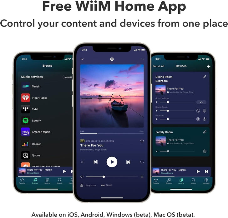 WiiM Pro Music Streamer with a built-in DAC and AirPlay 2 Receiver, Spotify, Alexa and more
