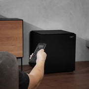 Definitive Technology Descend Series DN15 15” 1500W Powered Subwoofer - ProHiFi India