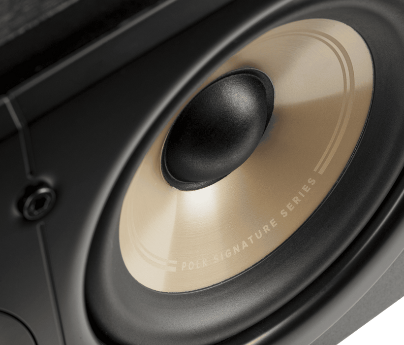 Polk signature center 2024 channel