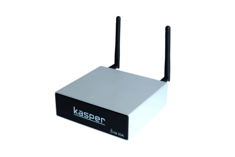 Kasper Ente 50A: High-End Audio Streaming Preamplifier - ProHiFi India