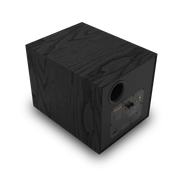 Klipsch R-101SW 10-Inch Active Subwoofer - ProHiFi India