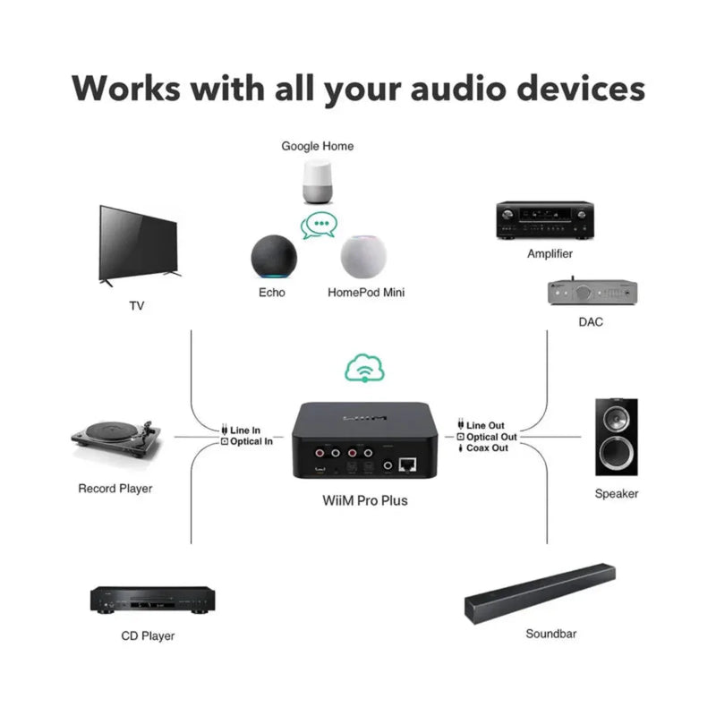 WiiM Pro Plus Music Streamer - ProHiFi India
