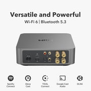 WiiM Amp Pro Multiroom Streaming Amplifier - ProHiFi India