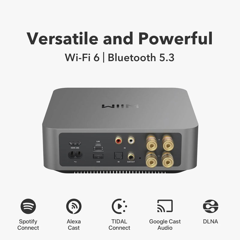 WiiM Amp Pro Multiroom Streaming Amplifier - ProHiFi India