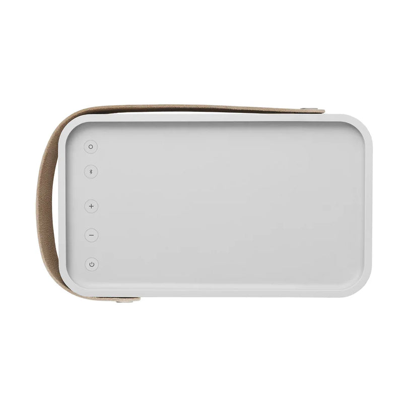 Bang & Olufsen Beolit 17 - Portable Bluetooth Speaker - ProHiFi India