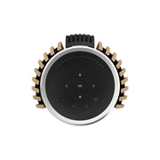 Bang & Olufsen Beolab 28 - Hi-res Wireless Stereo Speakers - Pair - ProHiFi India