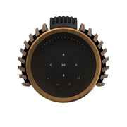 Bang & Olufsen Beolab 28 - Hi-res Wireless Stereo Speakers - Pair - ProHiFi India