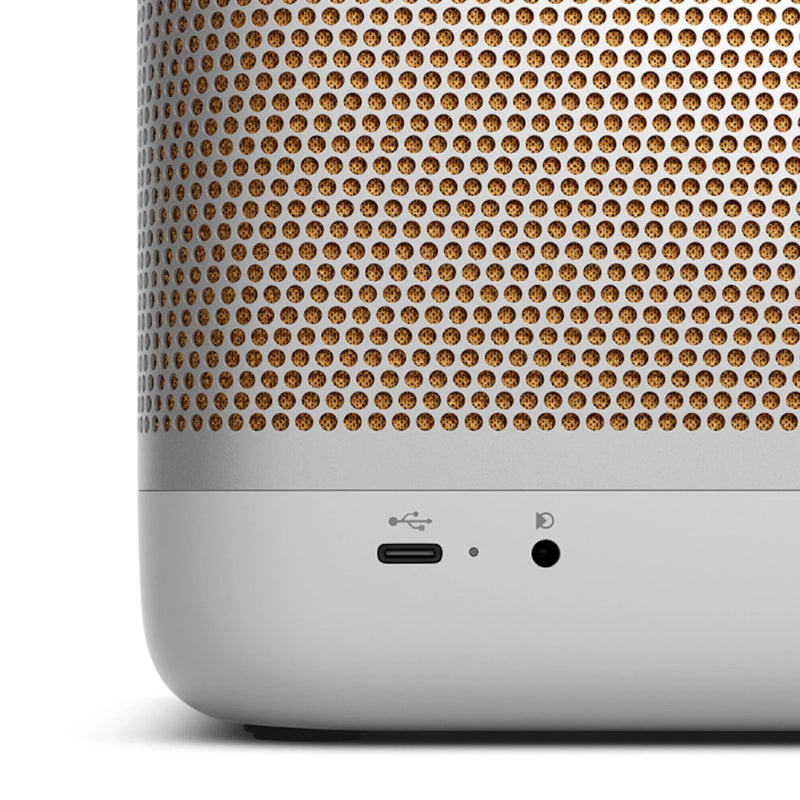 Bang & Olufsen Beolit 20 - Portable Bluetooth Speaker - ProHiFi India