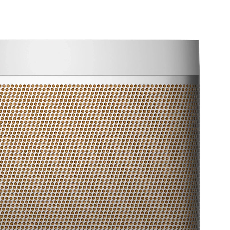 Bang & Olufsen Beolit 20 - Portable Bluetooth Speaker - ProHiFi India