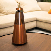 Bang & Olufsen Beosound 2 - Multiroom Speaker with Google Assistant - ProHiFi India