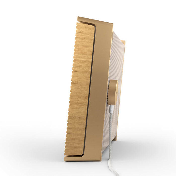 Bang & Olufsen Beosound Level - Portable WiFi Speaker