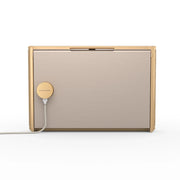 Bang & Olufsen Beosound Level - Portable WiFi Speaker - ProHiFi India