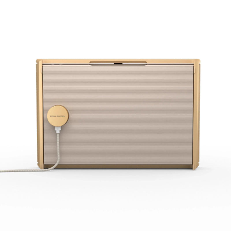 Bang & Olufsen Beosound Level - Portable WiFi Speaker - ProHiFi India