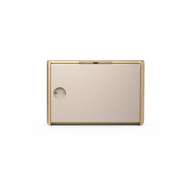 Bang & Olufsen Beosound Level - Portable WiFi Speaker - ProHiFi India