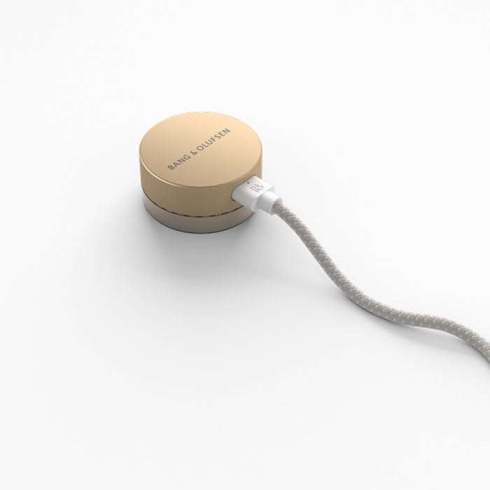 Bang & Olufsen Beosound Level - Portable WiFi Speaker