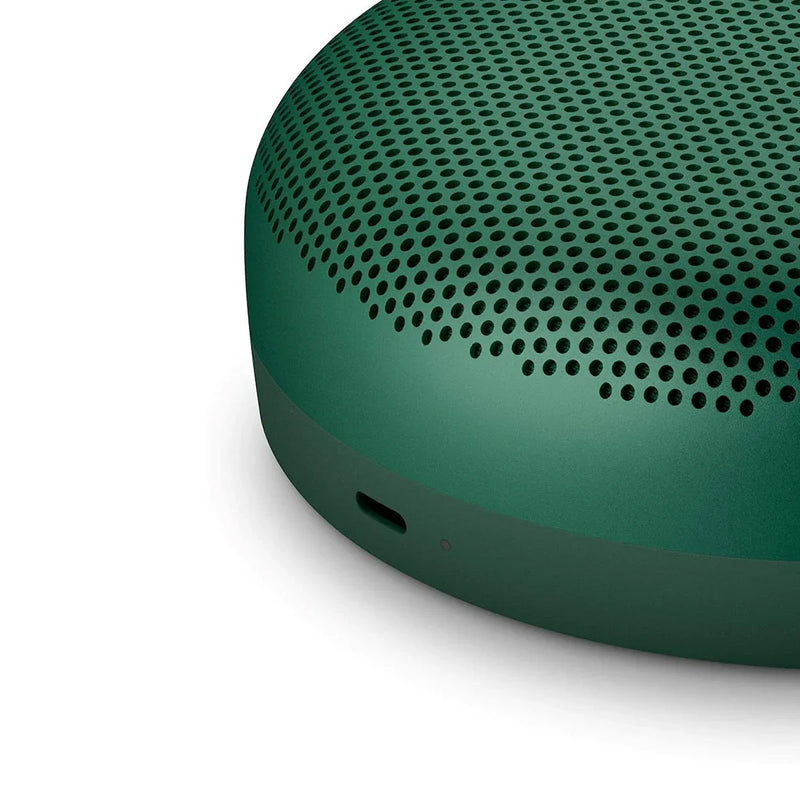 Bang & Olufsen Beosound A1 2nd Gen - Waterproof Portable Bluetooth Speaker - ProHiFi India