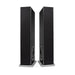 Definitive Technology D17 High-Performance Tower Speaker with Dual 10" Passive Bass Radiators (Pair)