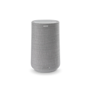 Harman Kardon Citation 100 Bluetooth Speaker - ProHiFi India