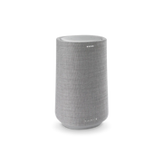 Harman Kardon Citation 100 Bluetooth Speaker - ProHiFi India